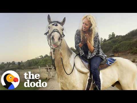 Watch This “Aggressive” Horse Heal Through Music #Video