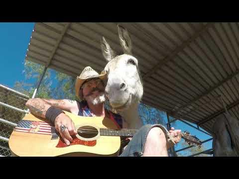 Talking Donkey Hazel has her own song #Video