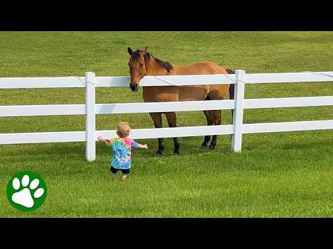 Toddler Won’t Forget This Magical Moment #Video
