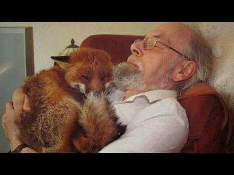 When Animals Know Grandpa's House Is Basically Paradise #Video