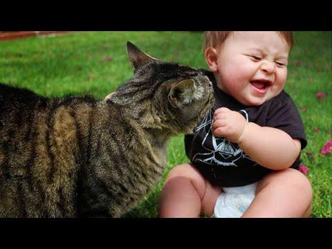 CATS and BABIES Awesome Friendship! #Video