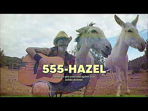 Hire Hazel the donkey for your protection #Video