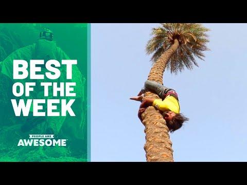 Tree Climbing, Contortion, & More | Best of the Week