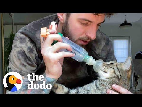Cat With Asthma Has The Most Caring Dad #Video
