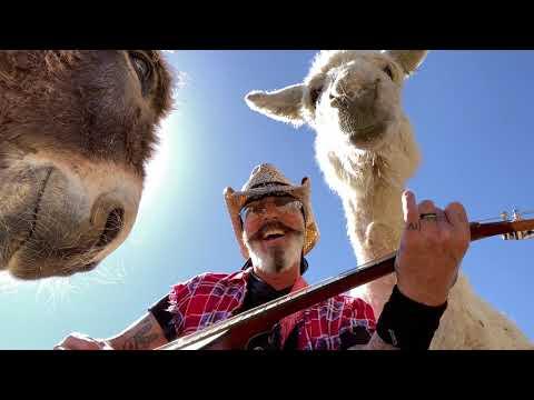 Heaven the Donkey First Time Hearing Live Music Video