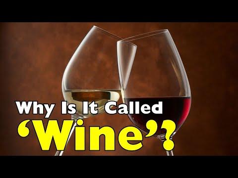 Why Is It Called 'Wine'? | The Ancient Story Behind the Name #Video