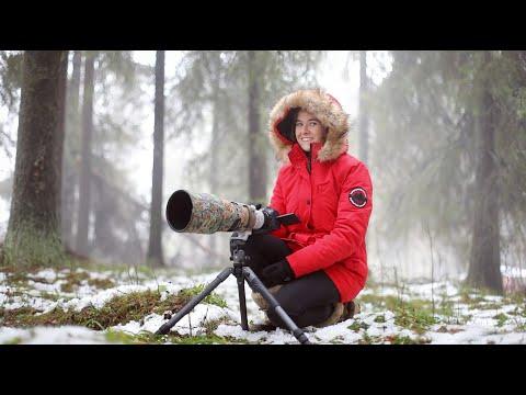 BACK IN SWEDEN! Finding my Red squirrel friends #Video