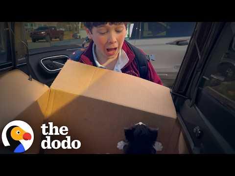 Mom Brings Home Amazing Furry Surprise For Her Son #Video