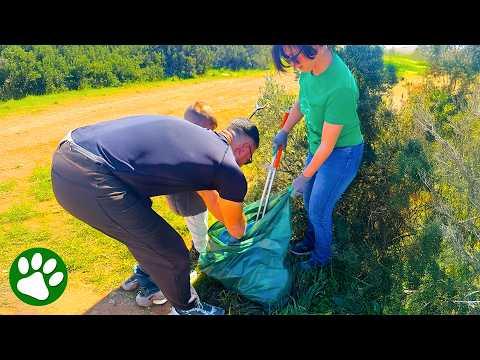 Creature Found Alive in Plastic Bag #Video