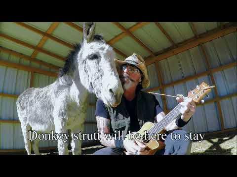 Hazels Donkey Strutt song #Video
