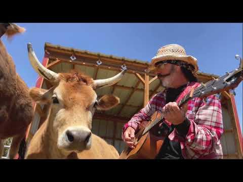 Animals Couples Therapy Using Neil Diamond Music #Video