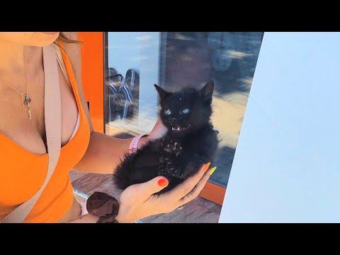 We Caught A Little Black Devil And He Was Shocked #Video