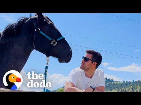 Guy Is So Nervous To Meet His Girlfriend's Horse #Video