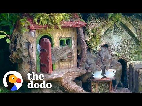 Granddad Builds An Entire Village For Mice In His Garden #Video