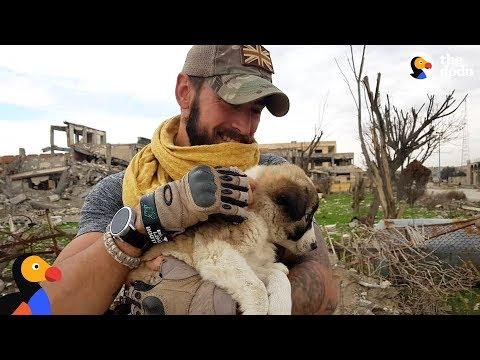 Soldier Saves Puppy Then Realizes He Can't Live Without Her