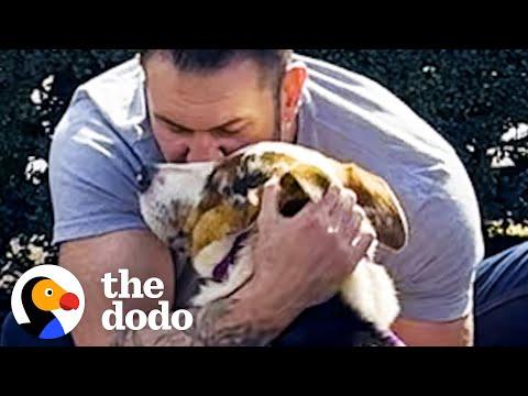 Scared Dog Melts Into His New Dad's Arms #Video