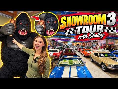 Showroom 3 Tour with Shelby Grams at Volo Museum Auto Sales! #Video