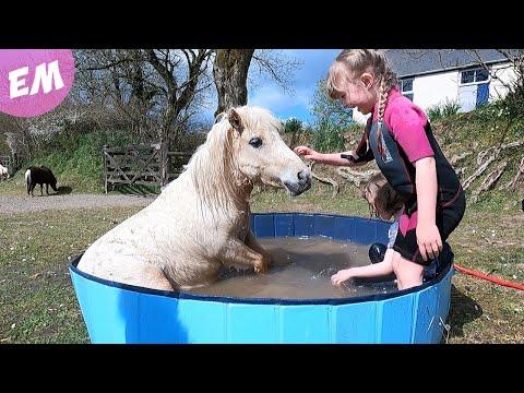 Pony Crashes the Pool Party! #Video