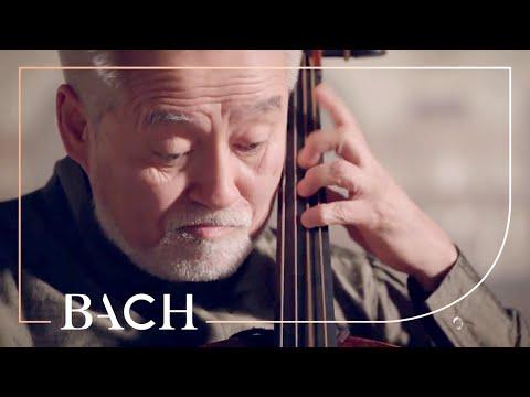 Bach - Cello Suite No. 5 in C minor BWV 1011 - Suzuki Video