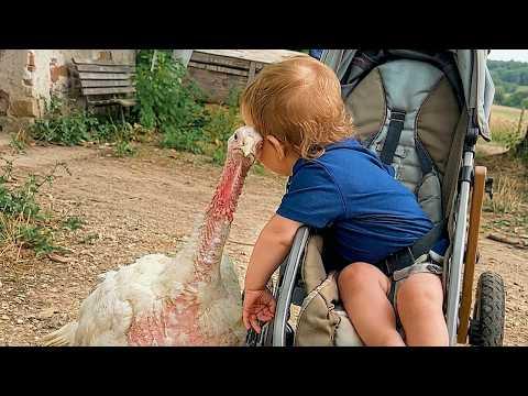 When the Animal Distribution System Chooses Your Baby As Their Best Friend! #Video