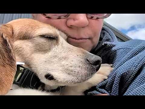 Caged dog feels sunlight in emotional moment #Video