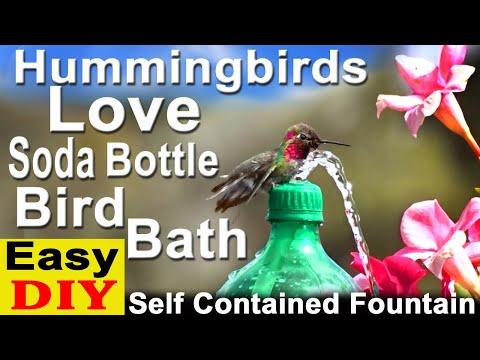 How To Make Hummingbird ENDLESS Water Fountain #Video