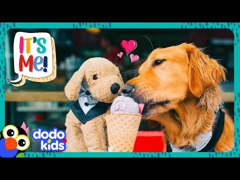 Let's Help This Pup Find His Favorite Toy | Dodo Kids #Video