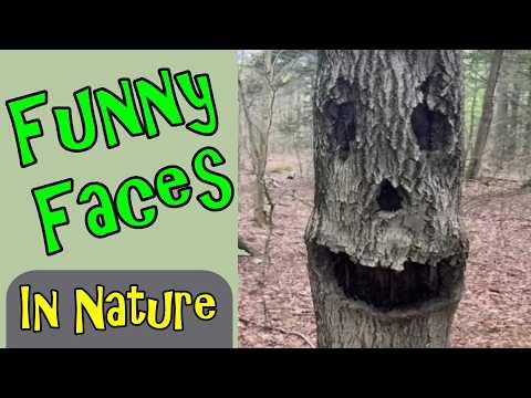 Funny Faces Found In Nature #Video