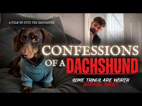 Confessions of a Dachshund | A Short Film [Dark Comedy] #Video