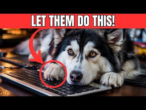 Stop Preventing This, It Actually Makes Your Dog Happy! #Video