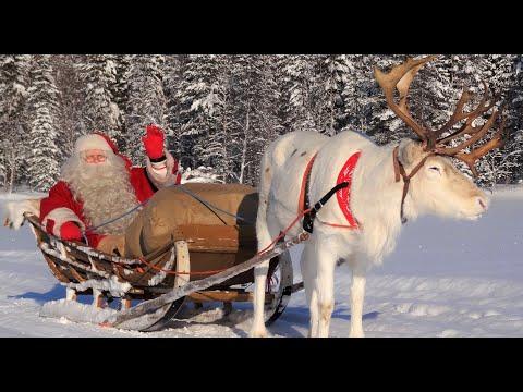 Christmas departure of Santa Claus with reindeer #Video