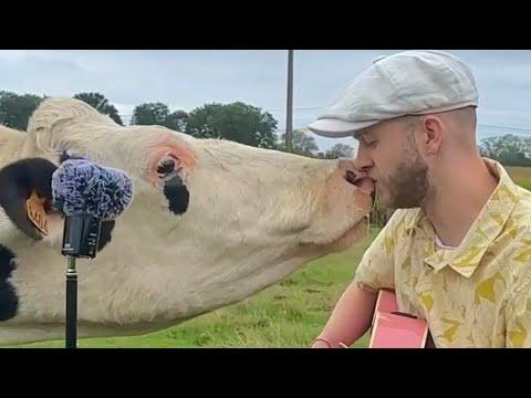 Singing for Animals Compilation Part 3 #Video