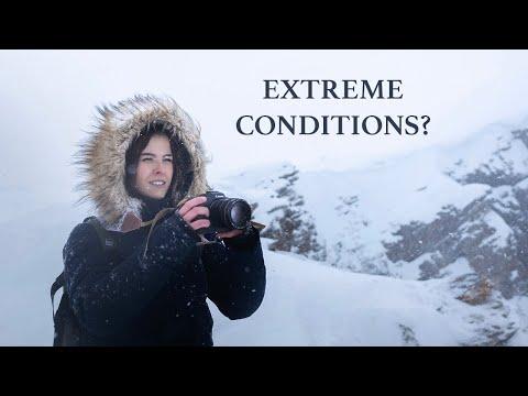 I waited on a FREEZING mountain to photograph this animal #Video