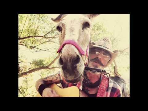 Donkey with a Heart of Gold #Video