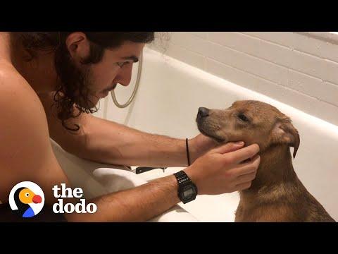 This Guy Found His Purpose After Rescuing A Dog. Video.