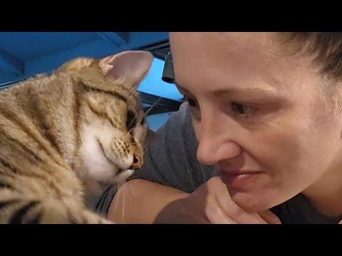 Cat falls in love with adopter #Video