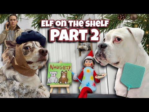 Elf on the Shelf Part 2 ( HE’S RELENTLESS! ) #Video