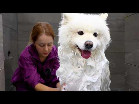They Warned Me She Was Difficult...Watch What Happened #Video