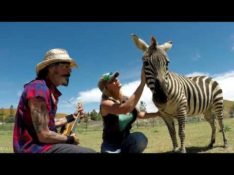 Singing to a Zebra named Bridgette 'Don't Worry Be Happy ' #Video