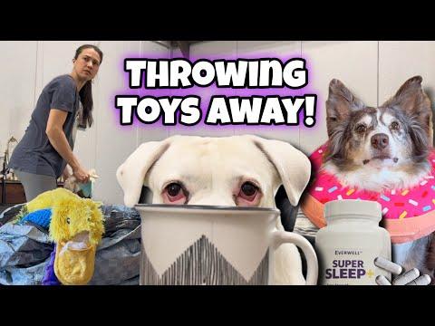 The Dogs Try to Stop Mom from Throwing Toys Away! (And fail miserable ) #Video