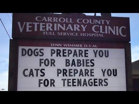 The Funniest Outdoor Signs From This Vet Clinic #Video