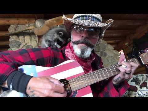 Baby Raccoons Love classic rock music #Video