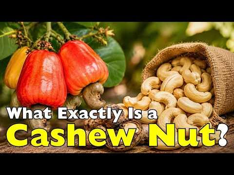 The Toxic Truth About Cashews #Video