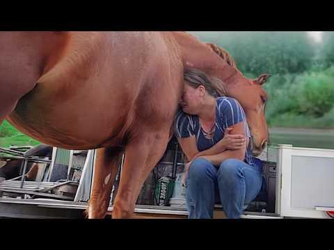 When Animals Love You So Deeply, They Can't Help but Worry About You #Video