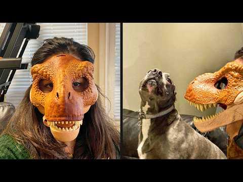 He Didn't See The Funny Side | YOUR Daily Dose #Video