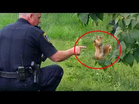 The Cutest Animals Get Way Too Close to the Police! #Video