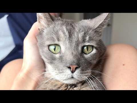 Woman pays back to her 19-year-old childhood friend #Video