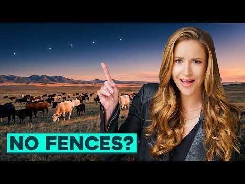 Starlink Just Changed Ranching Forever #Video