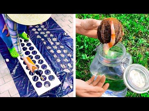 Sprout Success: Learn Gardening Hacks to Make Your Garden Look Amazing! #Video