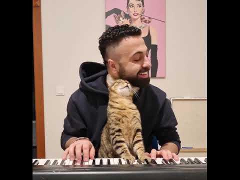 I think the pianist cat thinks it’s him playing the piano in the video